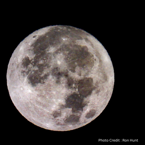 Moonlight Reflections